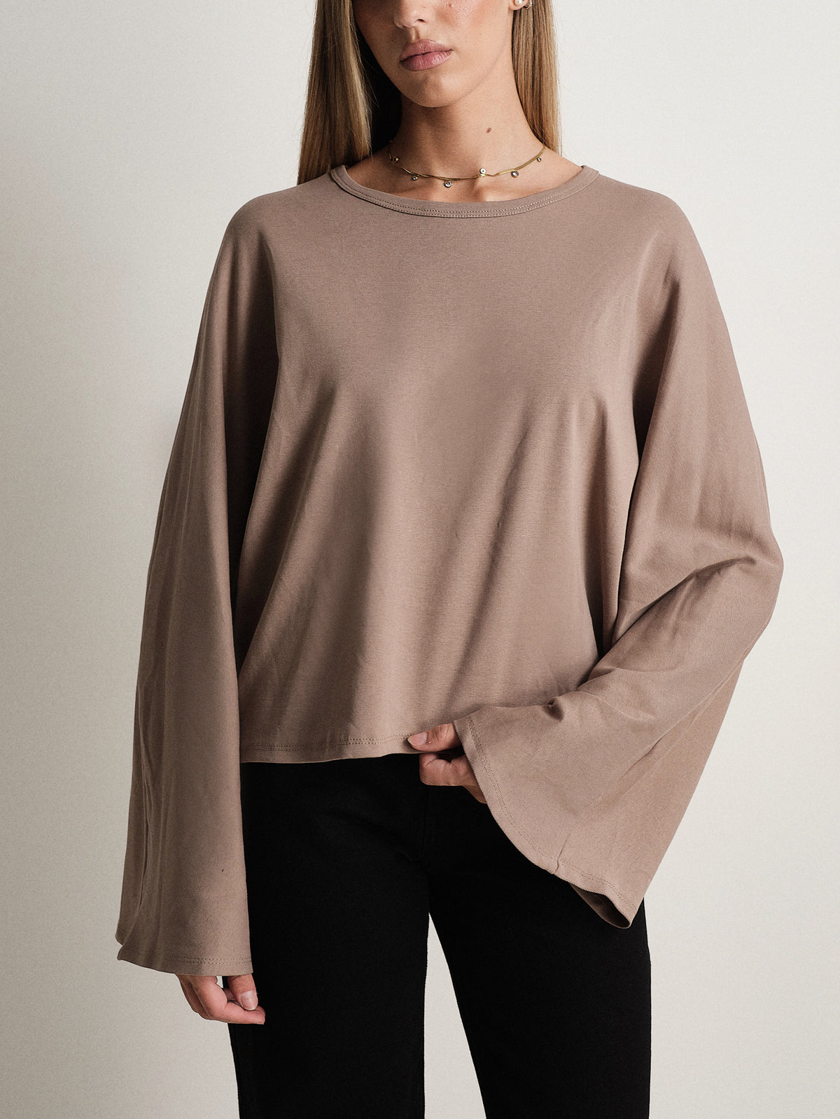 #colore_taupe