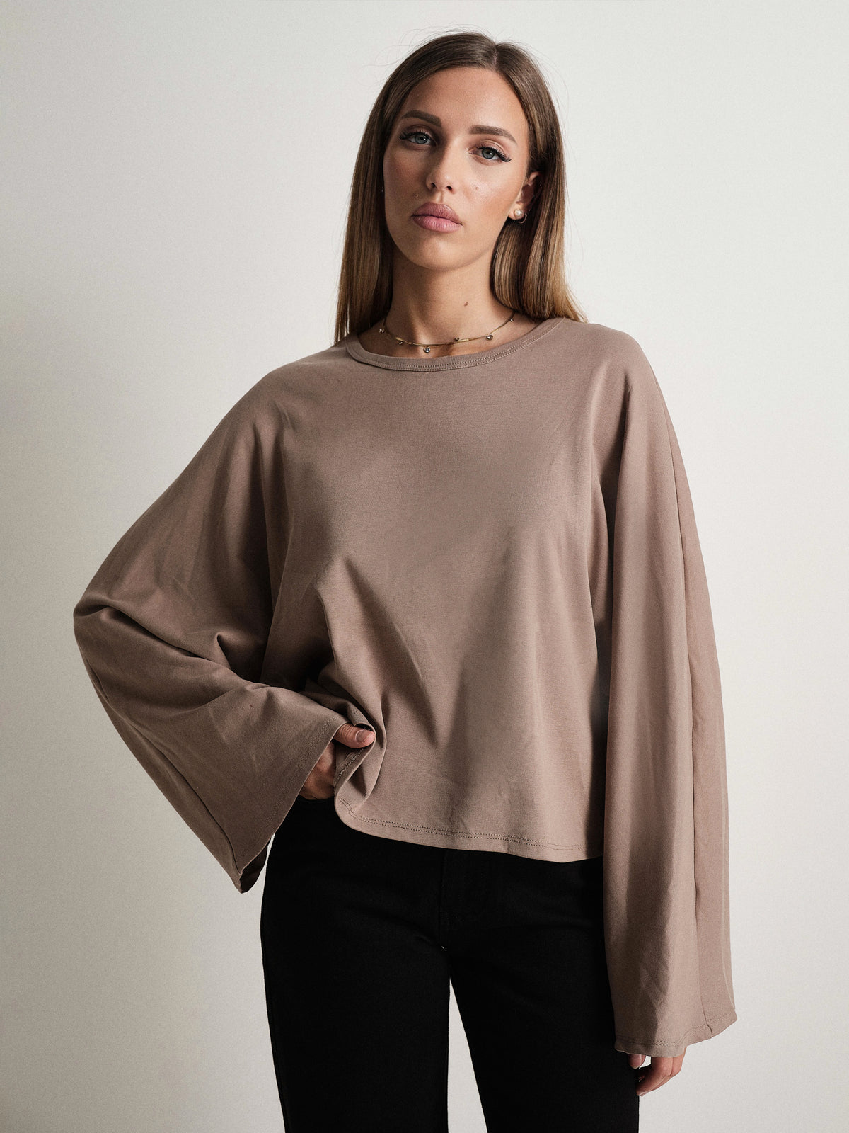 #colore_taupe